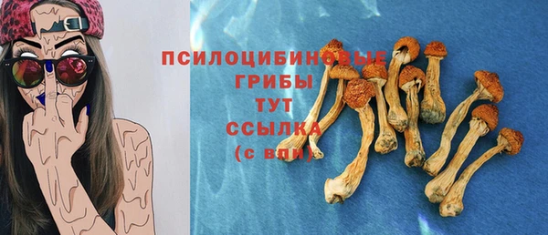 первитин Арсеньев