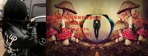 ALPHA PVP Баксан