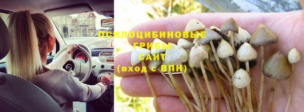 ALPHA PVP Баксан