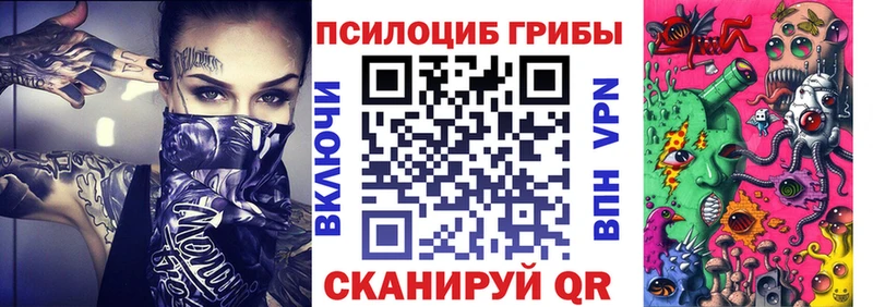 закладки  Сысерть  Псилоцибиновые грибы мицелий 